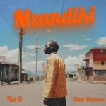 Download Audio | Fid Q ft Rich Mavoko – Mzandiki