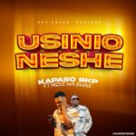 Download Audio | Kapaso Bkp X Mzee Wa Bwax – Usinionyeshe