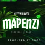 Download Audio | Mzee wa Bwax – Mapenzi