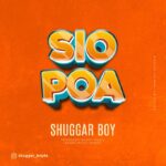 Download Audio | ShuggaBoy – Sio poa