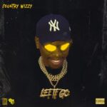 Download Audio | Country Wizzy – Let It Go