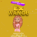 Download Audio | Rakesh Ft. Fine Boy – EX WANGU