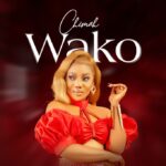 Download Audio | Chimah – Wako