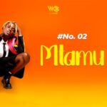 Download Audio | D Voice – Mtamu