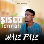 Download Audio | Sisco Tonnah – Wale pale