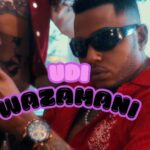Download Video | Udi – Wazamani