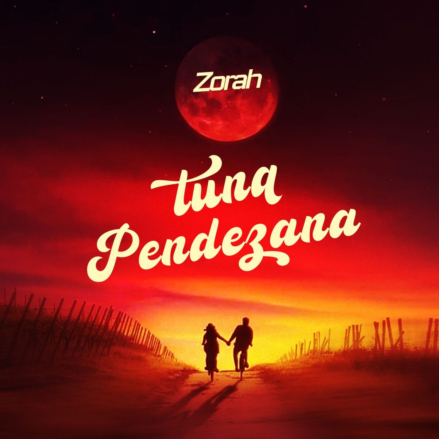 Download Audio | Zorah – Tunapendezana