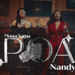 Download Video | Maua Sama Ft. Nandy – Poa