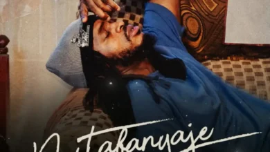 Diamond Platnumz – Nitafanyaje