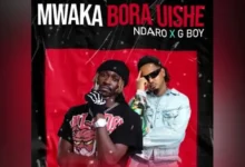 Ndaro ft G Boy – Mwaka Bora Uishe