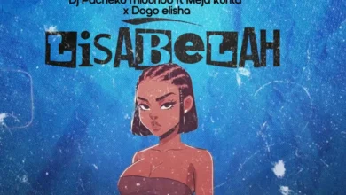 Dj Pacheko ft Meja kunta &Dogo Elisha – Lisa Bela