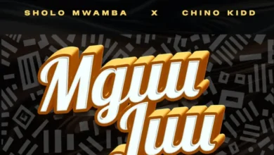 Sholo Mwamba ft Chino Kidd – Mguu Juu