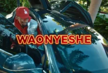 Video | Goodluck Gozbert – Waonyeshe