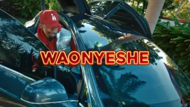 Video | Goodluck Gozbert – Waonyeshe