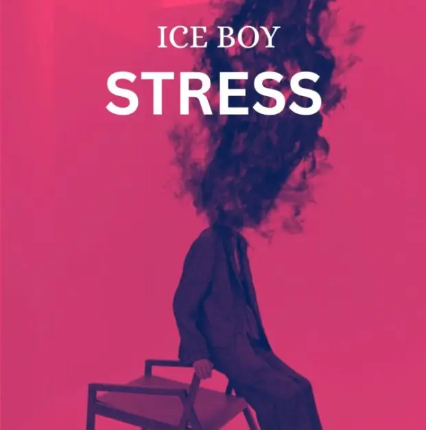 Music Audio | Ice Boy – Stress | Download