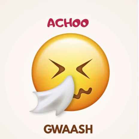 Music Audio : Gwaash – Achoo | Download
