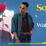 Music Audio : Aslam Tz – Wakuniliza (Acoustic) | Download