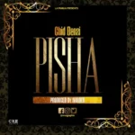 Music Audio : Chid Benz – Pisha | Download