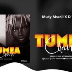 Music Audio : Mudy Msanii Ft D voice -Tumeachana | Download