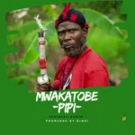 Music Audio : Mwakatobe – Pipi Ya Kijiti | Download