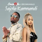 Music Audio : Sminofu Ft Zee Nxumalo – Sajola Kamnandi | Download