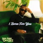 Music Audio : Vii Sugar Boy – Born For You | Download