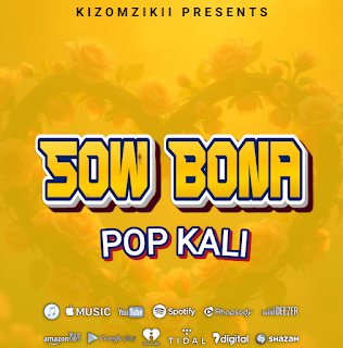 Music Audio : Pop – kali sow bona | Download