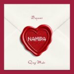 Music Audio : Bayanni Ft Qing Madi – Namipa | Download