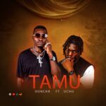 Music Audio : DONJA – TAMU | Download