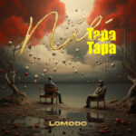 Music Audio : Lomodo – Nilitapatapa | Download