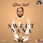 Music Audio : Steve Rnb – Sweet Nana | Download