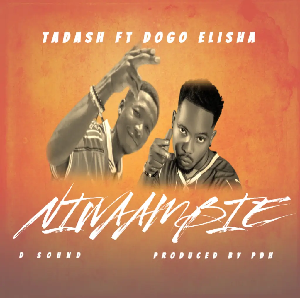 Music Audio : Tadash Ft Dogo Elisha – Niwaambie | Download