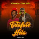 Music Audio : Wabongo Ft Dogo Mallo – Tutafute Hela | Download