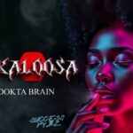 Music Audio : Dokta Brain – Akaloosa | Download