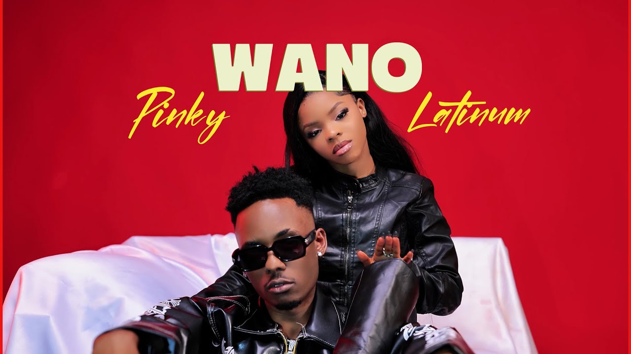 Music Audio : Latinum Ft Pinky – Wano | Download