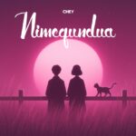 Music Audio : Chey Tz – Nimegundua | Download