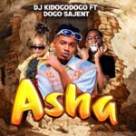 Music Audio : Dj Kidogodogo Ft Dogo Sajent – Asha | Download