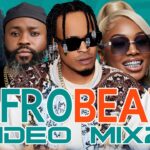 Music Audio : AFROBEAT ALL OUT PARTY 2025 MIX BY DJ WYTEE ,DAVIDO, OMAH LAY, TATATA BURNA BOY, ASAKE, OLAMIDE | Download