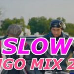 MIXTAPE | DJ FUN – SLOW BONGO MIX