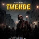 Music Audio : Mlenga boy – Twende (1) | Download
