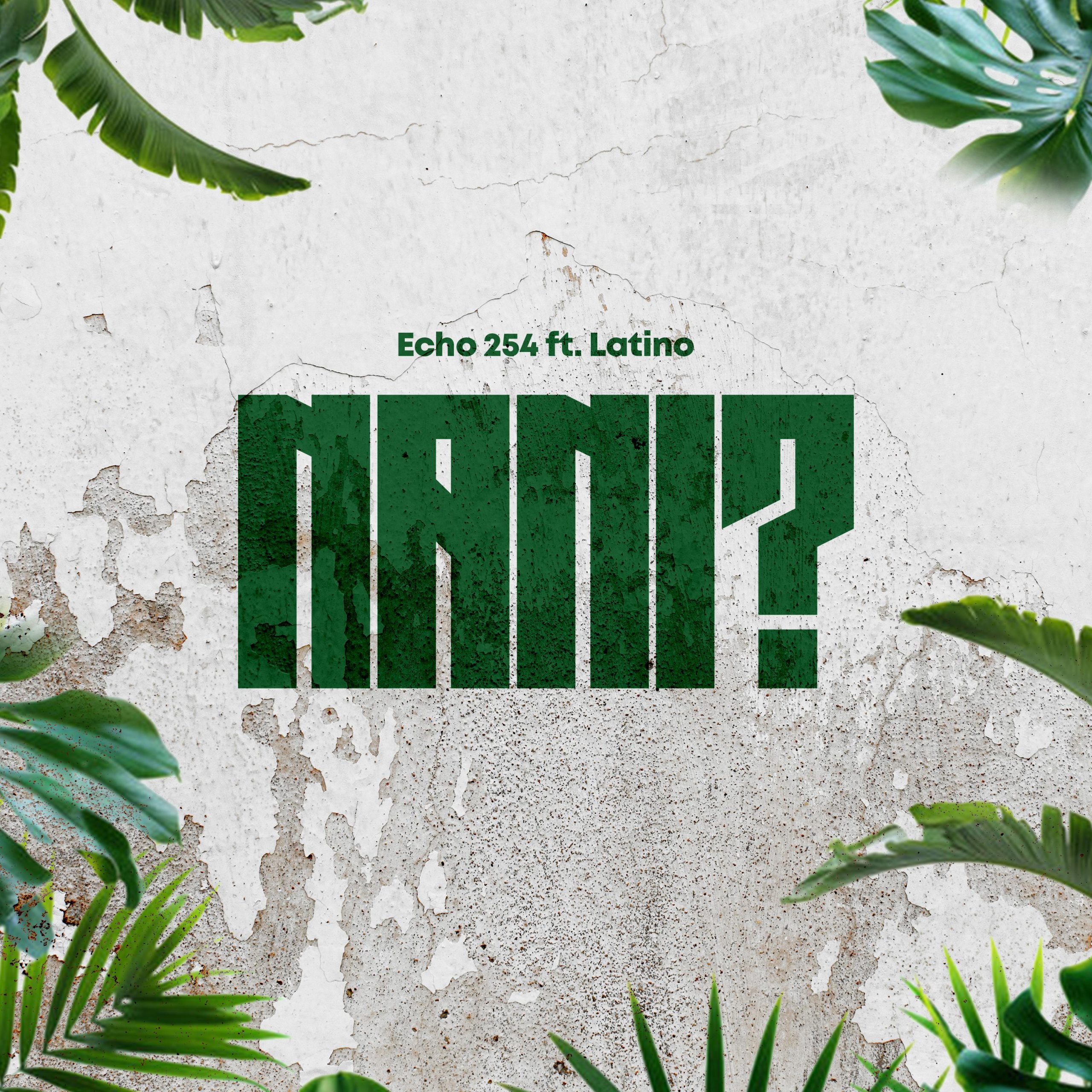 Music Audio : Echo 254 ft Latinoh – Nani | Download