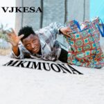 Music Audio : VJkesa – Mkimwona | Download