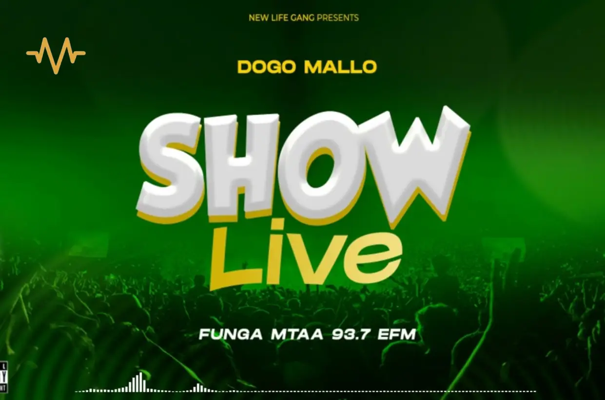 Music Audio : Dogo Mallo – Show Live Funga Mtaa EFM | Download