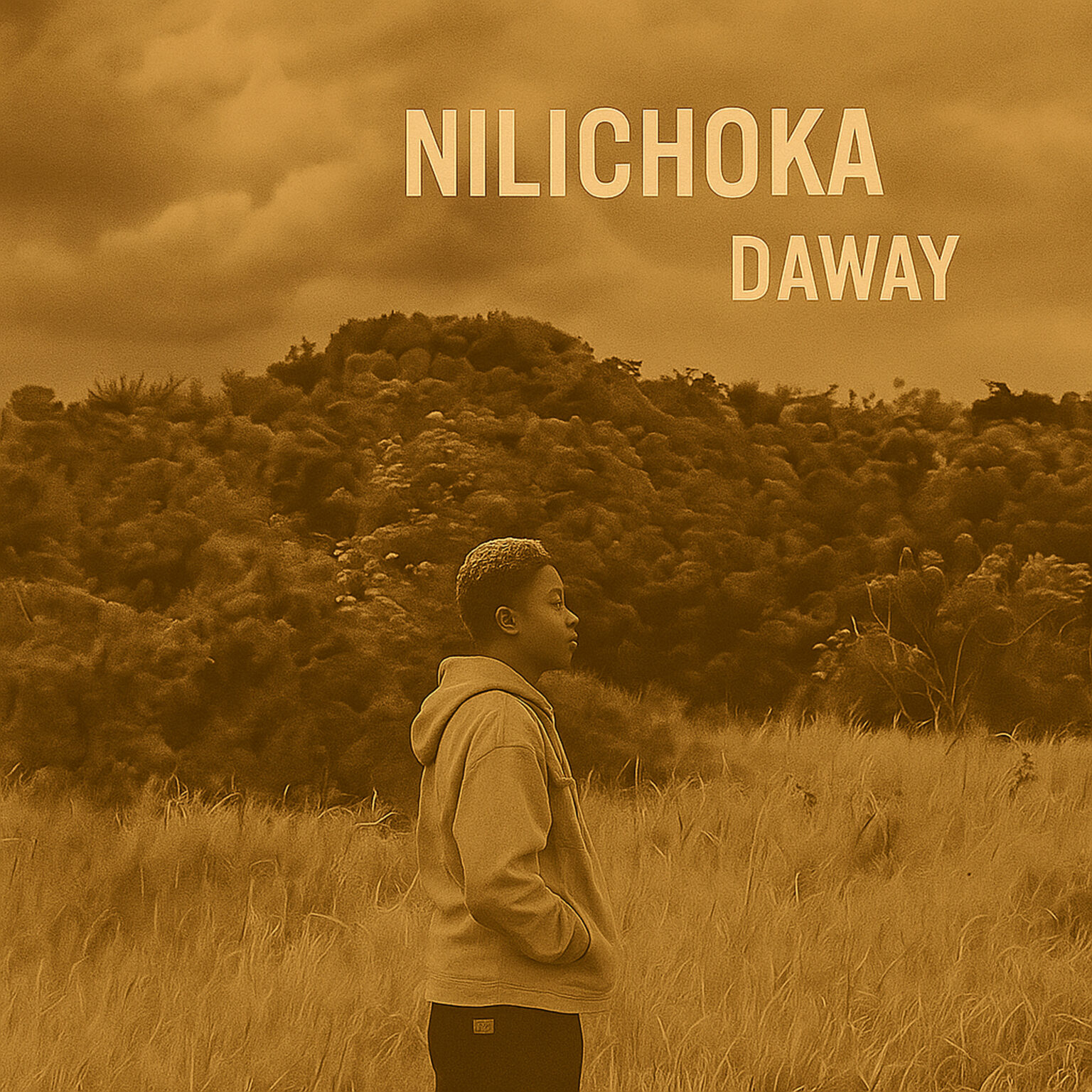 Music Audio : Daway – Nilichoka  | Download