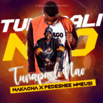 Music Audio : Wakacha Ft Pedeshee mweusi – Tunapali Nao | Download