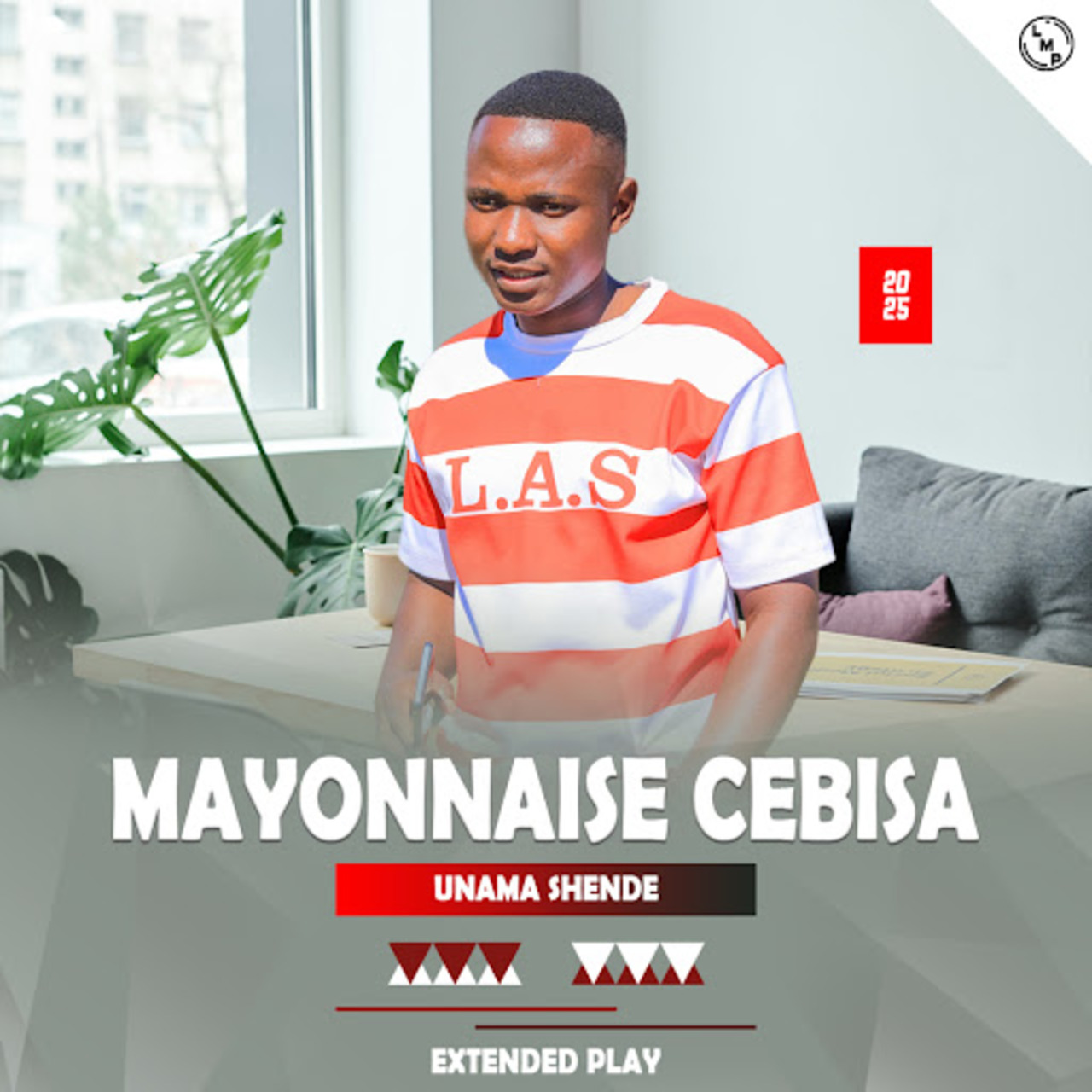 Music Audio : Mayonnaise Cebisa – Yimina Ngedwa | Download