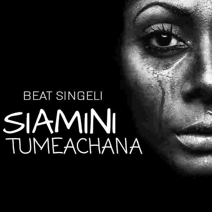 Music Audio : Dj Domi – Beat singeli Tumeachana | Download