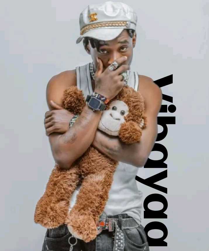 Music Audio : Chief Killer – Vibayaa | Download