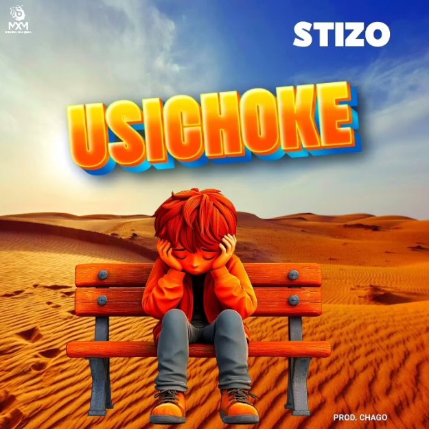 Music Audio : Stizo – Usichoke | Download