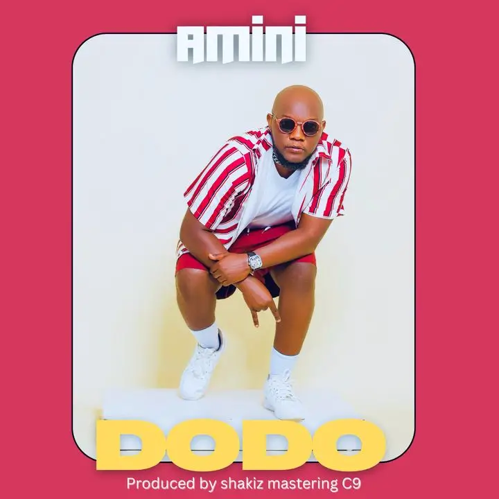 Music Audio : Amini – Dodo | Download